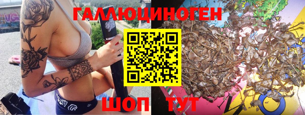 Вольск  Галлюциногенные грибы мицелий  Вход с VPN 