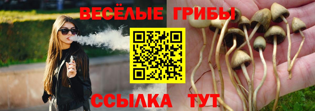 Галлюциногенные грибы Psilocybe Вольск