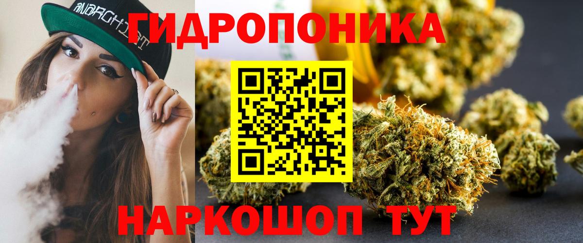 Конопля Amnesia  Шишки марихуана LSD WEED  Вольск  Марихуана планчик  МАРИХУАНА планчик  Вход с VPN 
